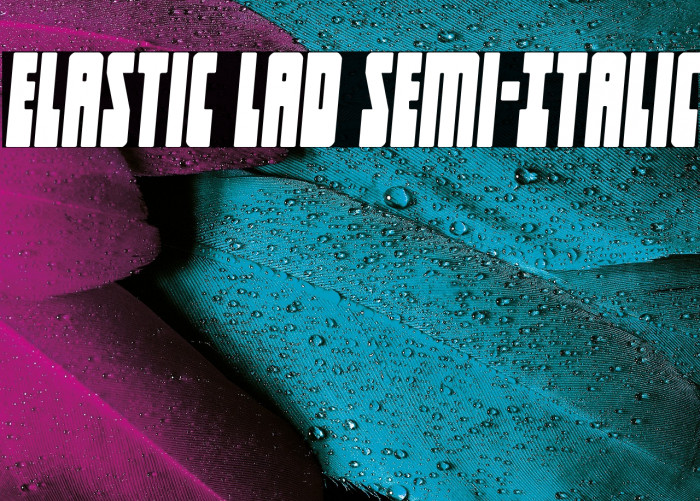 Elastic Lad Semi-Italic Example 1