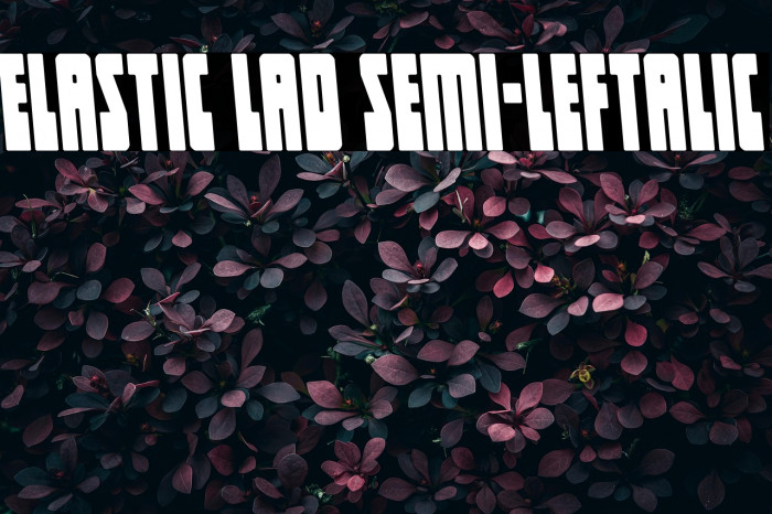 Elastic Lad Semi-Leftalic Example 2