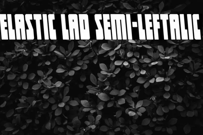 Elastic Lad Semi-Leftalic Font examples