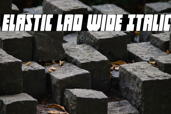 Elastic Lad Wide Italic Example 1
