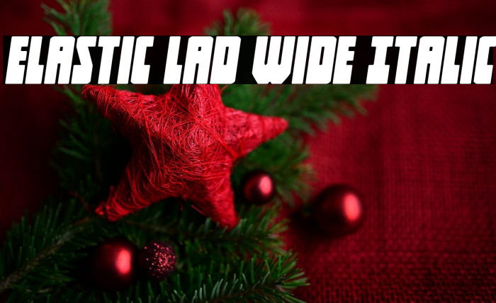 Elastic Lad Wide Italic Example 3