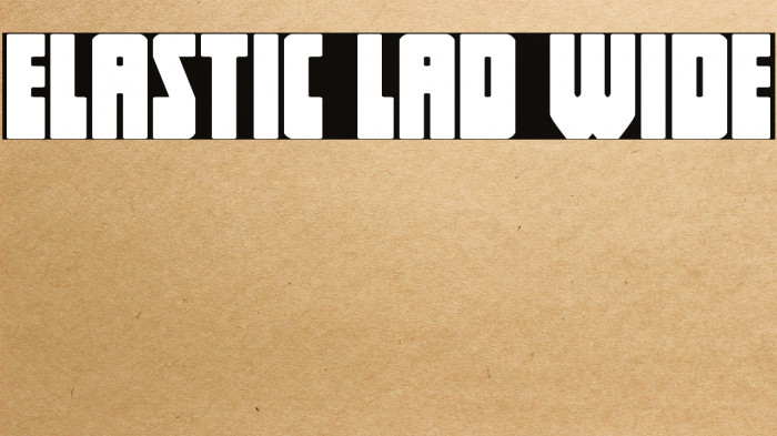 Elastic Lad Wide Example 1