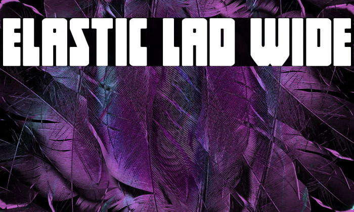 Elastic Lad Wide Example 2