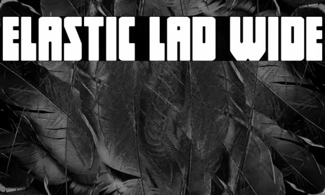 Elastic Lad Wide Font examples