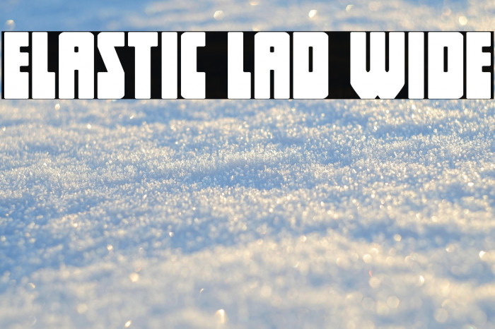 Elastic Lad Wide Example 3