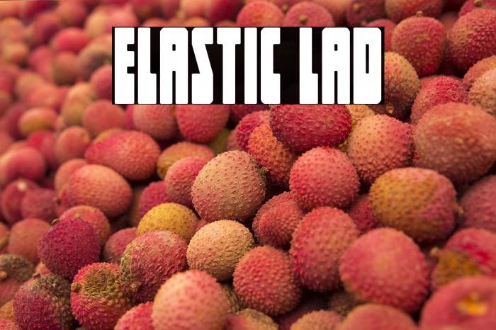 Elastic Lad Example 2