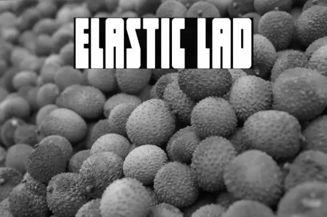 Elastic Lad Font examples