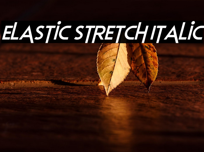 Elastic Stretch Italic Example 2