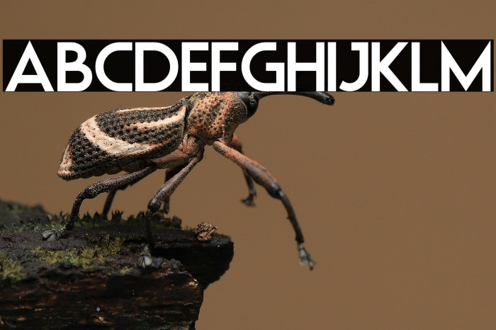 Elastic Stretch Example 3