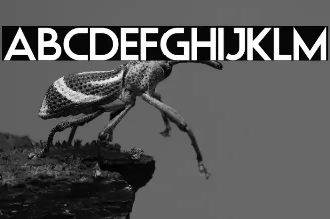 Elastic Stretch Font examples