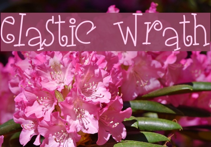 Elastic Wrath फ़ॉन्ट examples