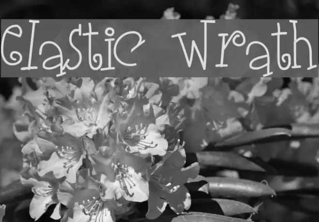 Elastic Wrath Font examples