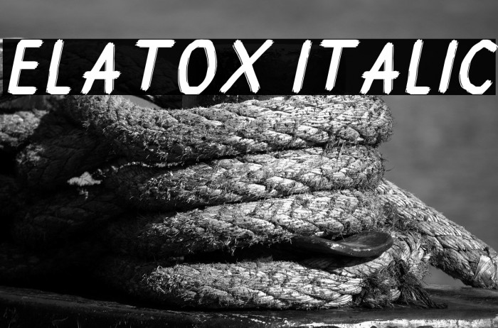 Elatox Italic Example 2