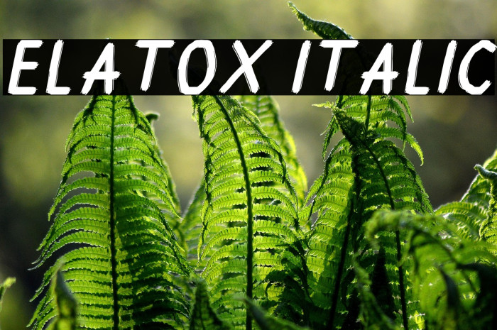 Elatox Italic Example 3