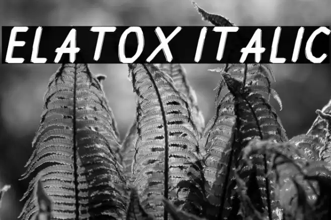 Elatox Italic خط examples