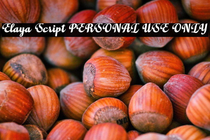 Elaya Script PERSONAL USE ONLY Example 1