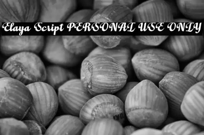 Elaya Script PERSONAL USE ONLY Font examples