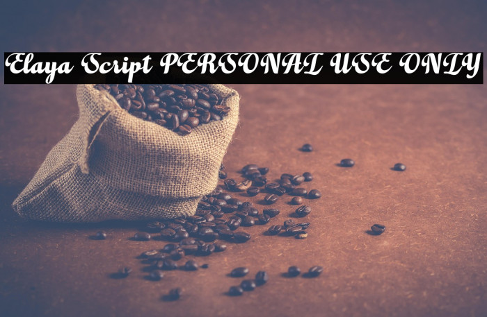 Elaya Script PERSONAL USE ONLY Example 2