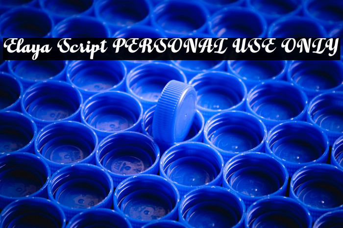 Elaya Script PERSONAL USE ONLY Example 3