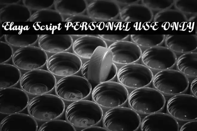 Elaya Script PERSONAL USE ONLY Font examples