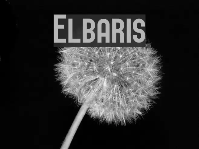 Elbaris خط examples