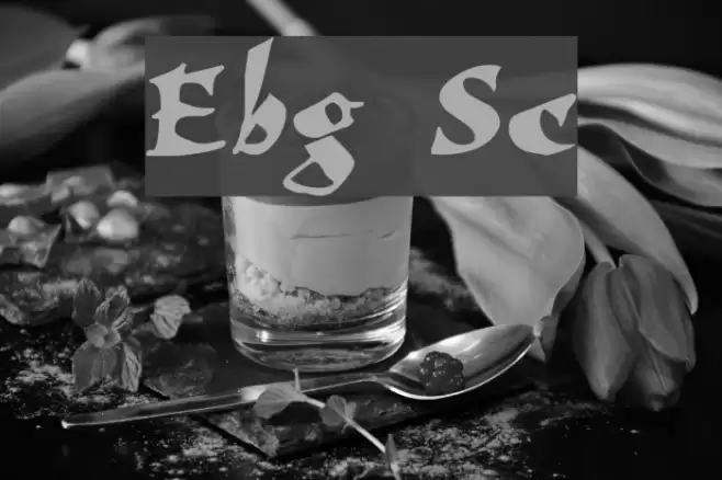 Elbjorg Script フォント examples