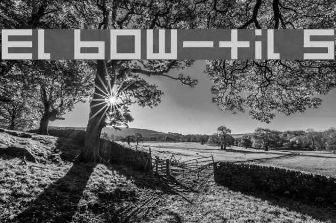 Elbow-tils Example 2