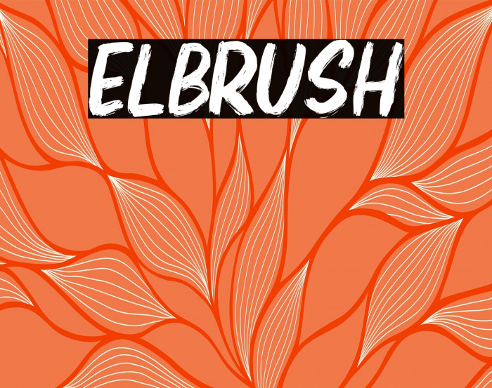 Elbrush Example 1