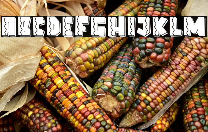 Elcatraz Line Example 2