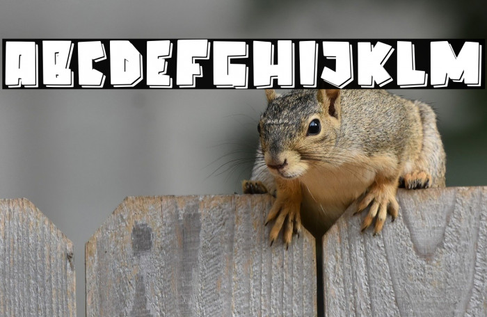 Elcatraz Shadow Example 1