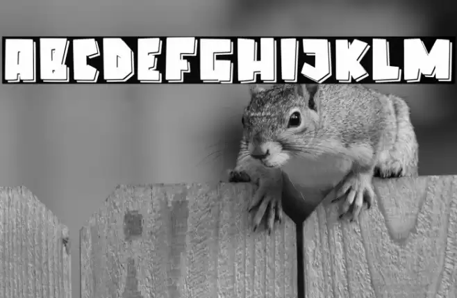 Elcatraz Shadow Fonte examples