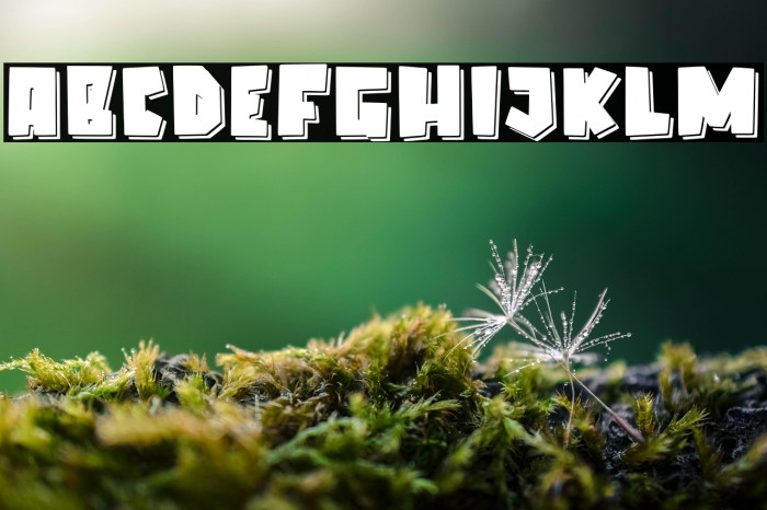 Elcatraz Shadow Example 3