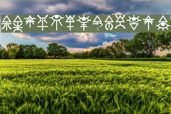 Eldar Runes Font examples