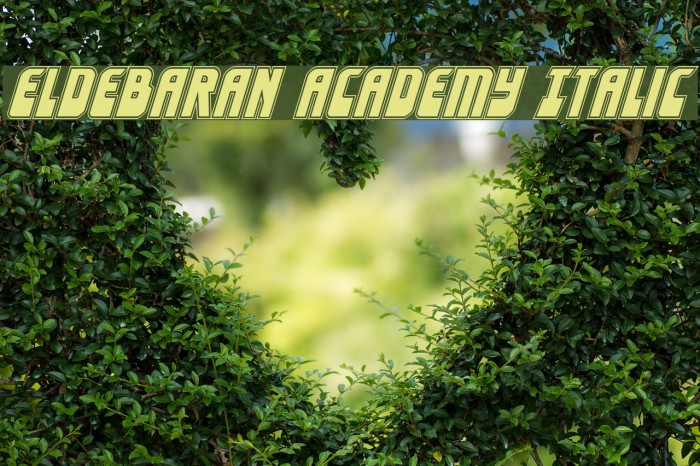 Eldebaran Academy Italic Font examples