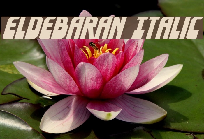 Eldebaran Italic Example 3