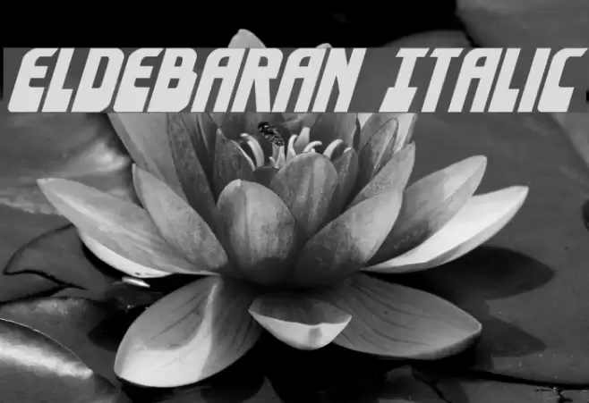 Eldebaran Italic Font examples