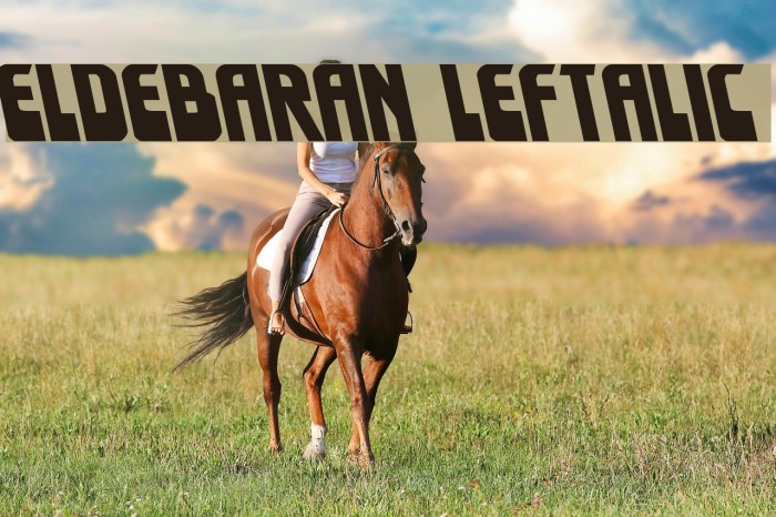 Eldebaran Leftalic Example 3