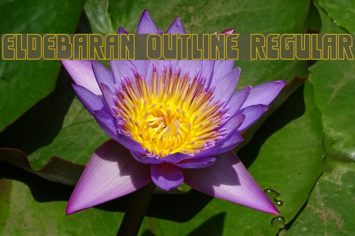 Eldebaran Outline Regular Example 1