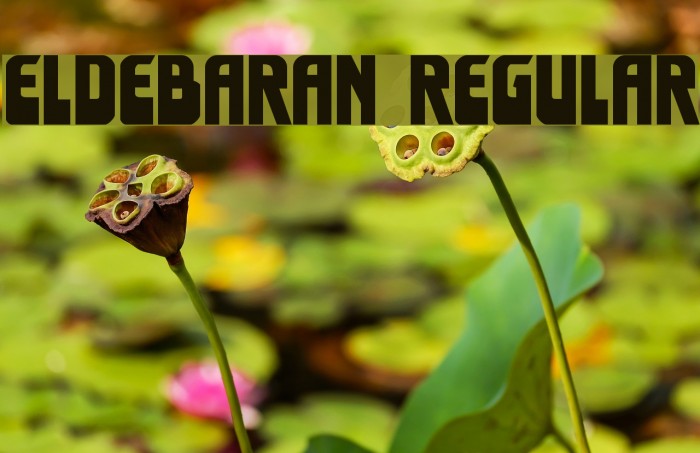 Eldebaran Regular Font examples