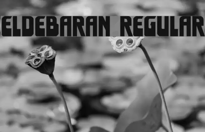 Eldebaran Regular Example 2
