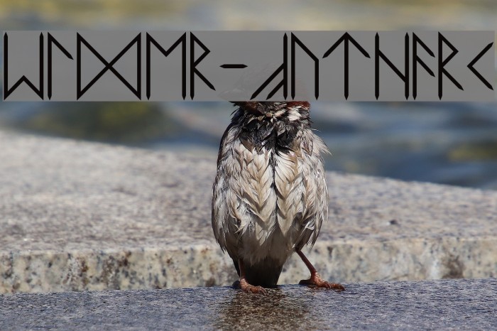 Elder-Futhark Font examples