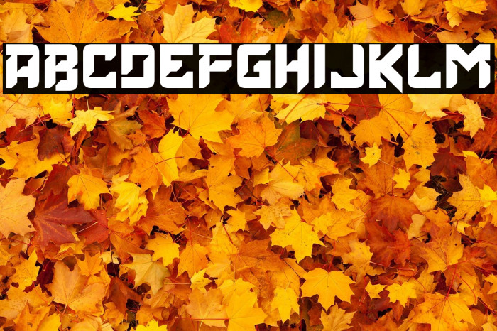 Elder Head Up Example 1