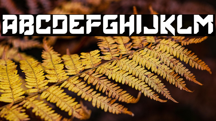 Elder Head Up Example 3