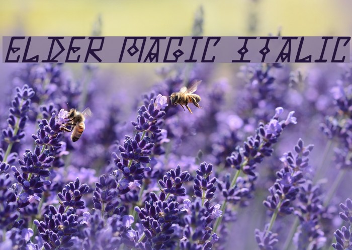 Elder Magic Italic Font examples