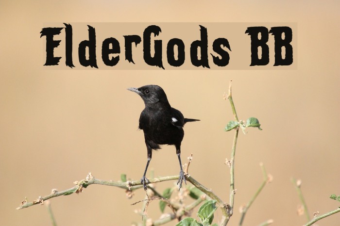ElderGods BB フォント examples