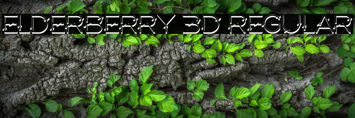 Elderberry 3D Regular Example 1