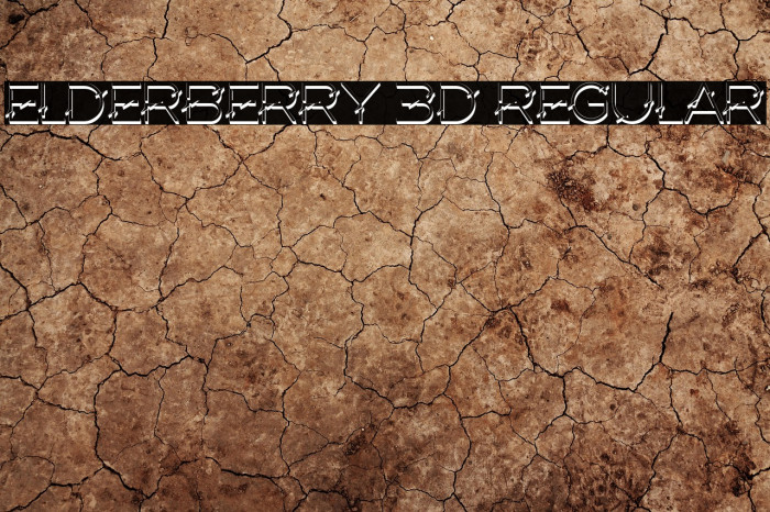 Elderberry 3D Regular Example 2