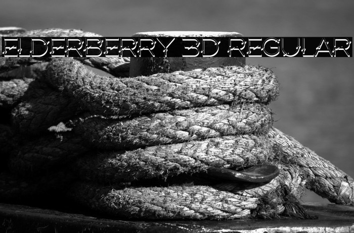 Elderberry 3D Regular Example 3