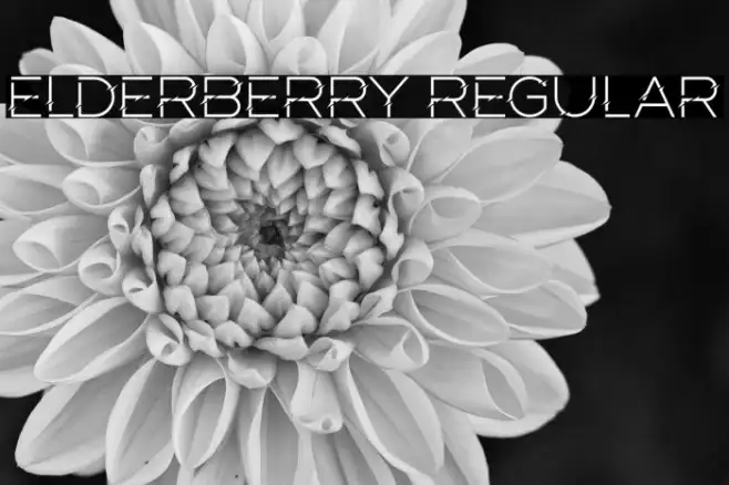 Elderberry Regular Example 1