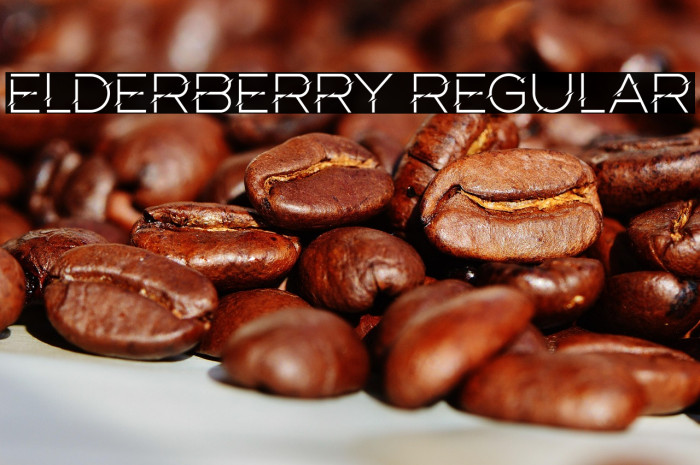 Elderberry Regular Example 3